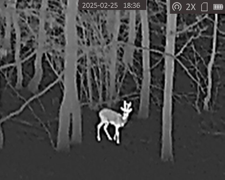 ELADÓ – HIKMICRO LYNX PRO LH15 kereső hőkamera – 1. kép
