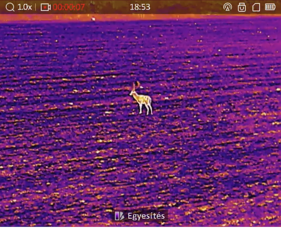 ELADÓ – HIKMICRO LYNX PRO LH15 kereső hőkamera – 6. kép