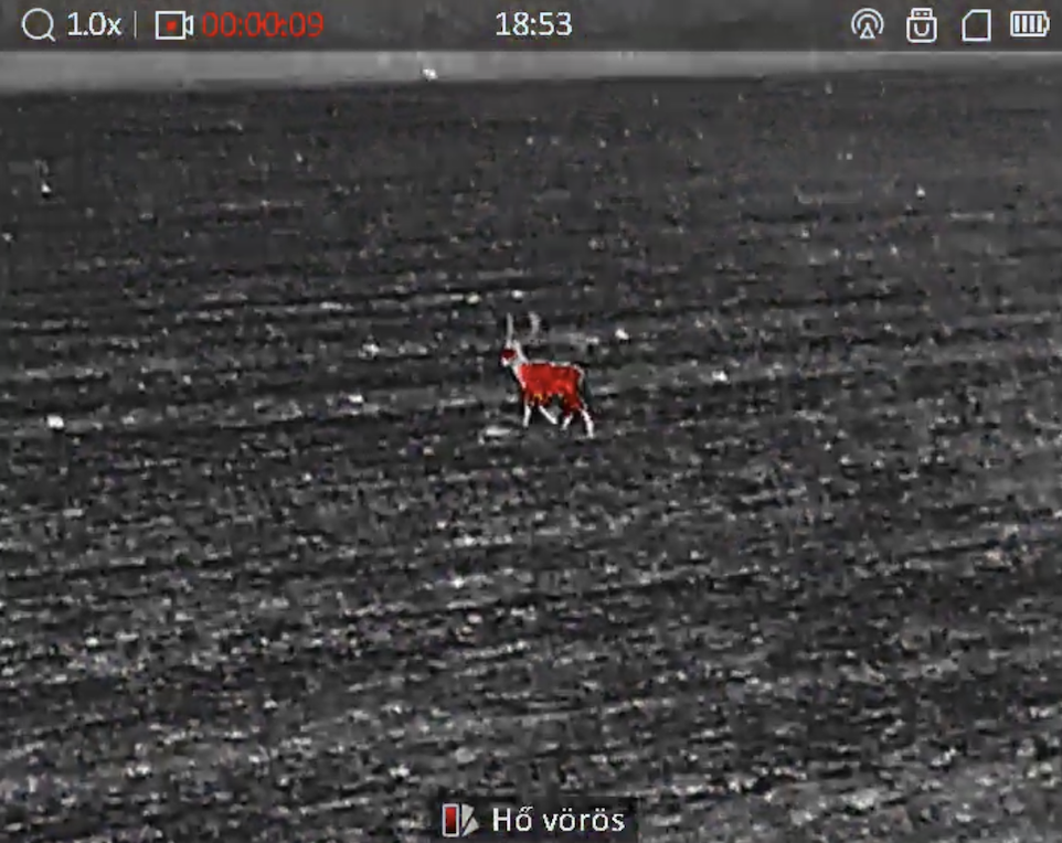 ELADÓ – HIKMICRO LYNX PRO LH15 kereső hőkamera – 7. kép