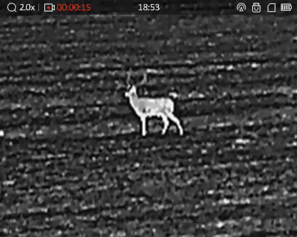 ELADÓ – HIKMICRO LYNX PRO LH15 kereső hőkamera – 8. kép
