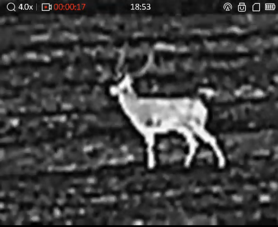 ELADÓ – HIKMICRO LYNX PRO LH15 kereső hőkamera – 9. kép