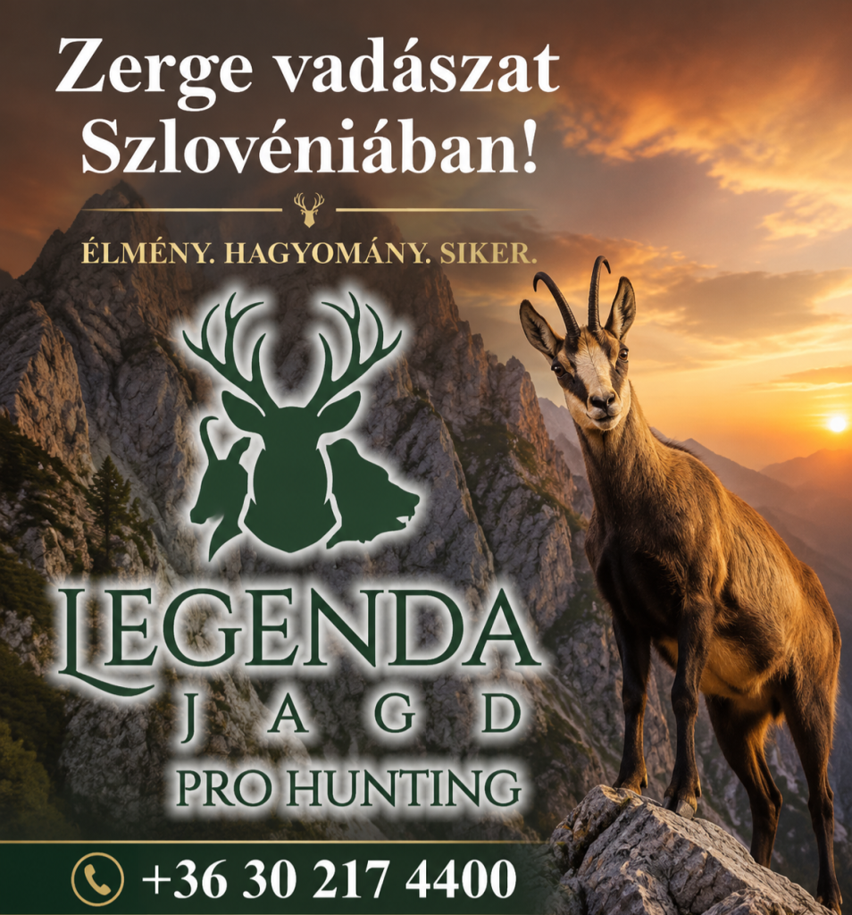 Nagykanizsa – 4. kép