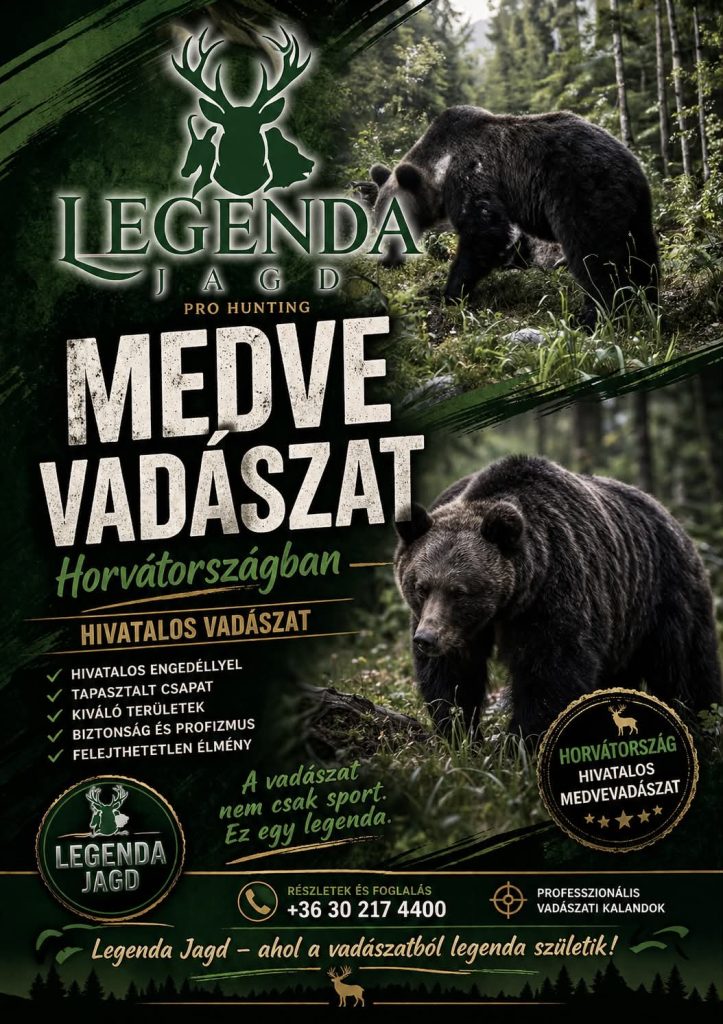 Nagykanizsa – 5. kép